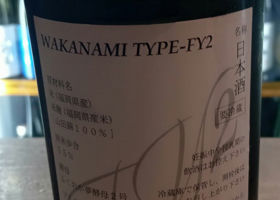 Type-FY2 チェックイン 2