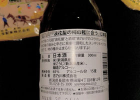 alt 2
