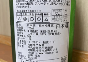 alt 3