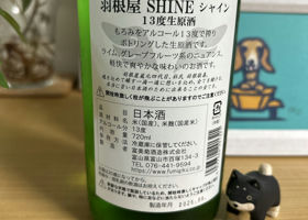 alt 2