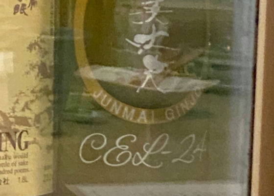 alt 1