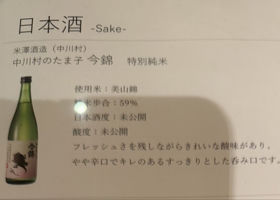 alt 3
