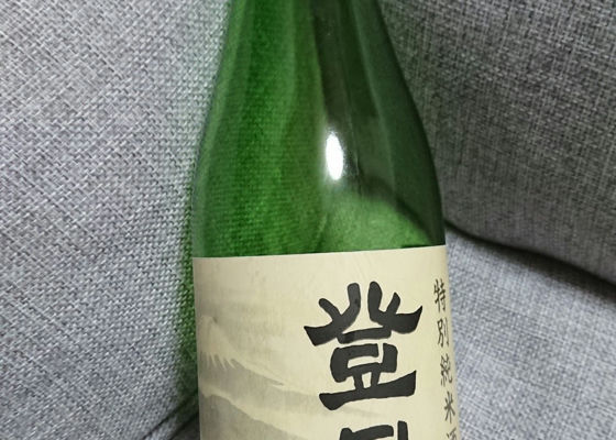alt 1