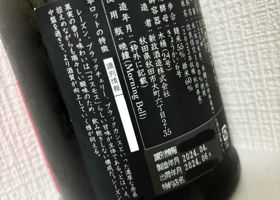 alt 3