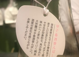 alt 4