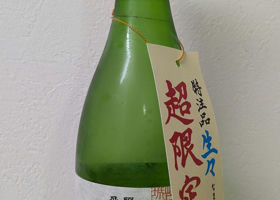 alt 2