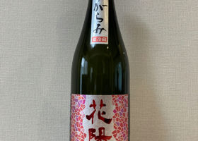 alt 2