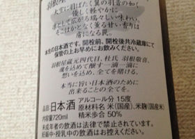 alt 3