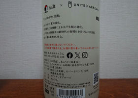 alt 2