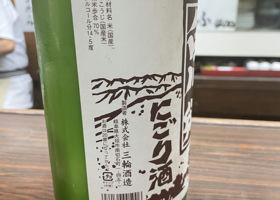 alt 3