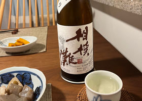 相模灘 チェックイン 1