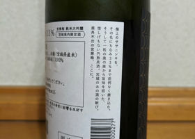 alt 3
