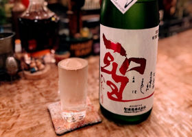 alt 1