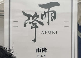 alt 3