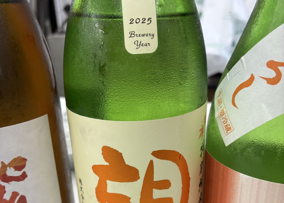 望 チェックイン 1