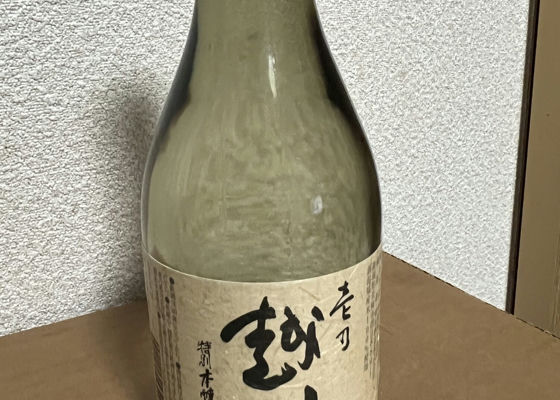 alt 1