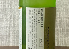 alt 3