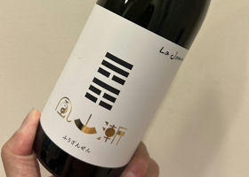 alt 1