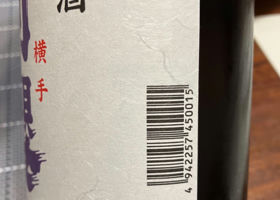alt 3