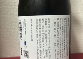 alt 3
