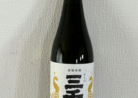 alt 3
