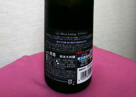 alt 2