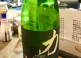 alt 1
