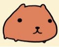 カピバラ