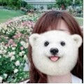 はむこ