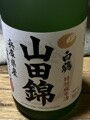 酒初心者α