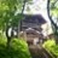 castagna_ymg