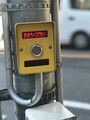 わいあど