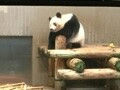 のんちゃん